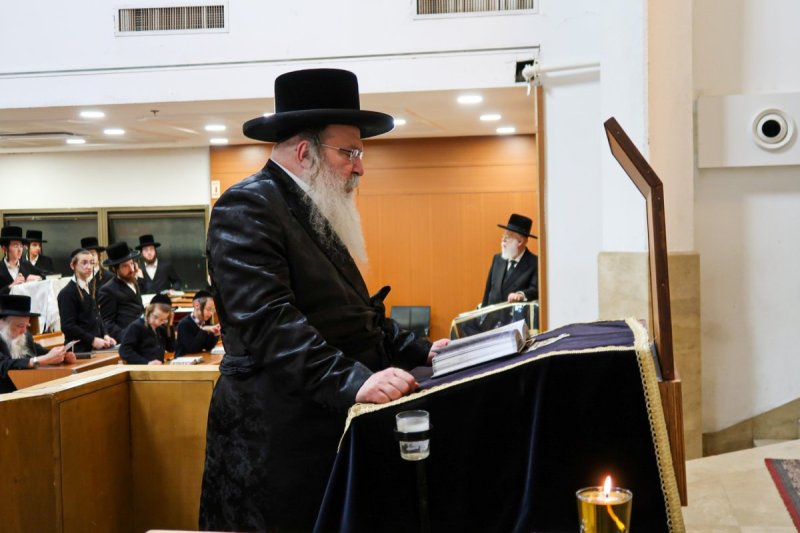 שוקי לרר