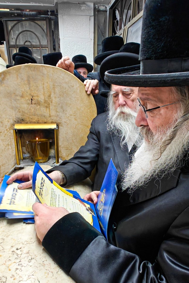 שוקי לרר
