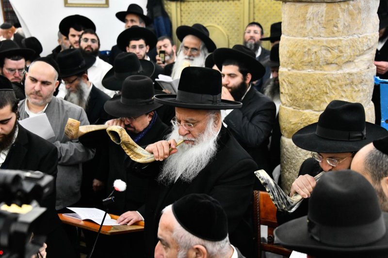 שוקי לרר