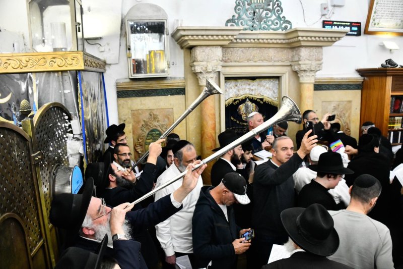שוקי לרר