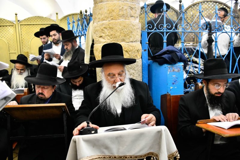 שוקי לרר