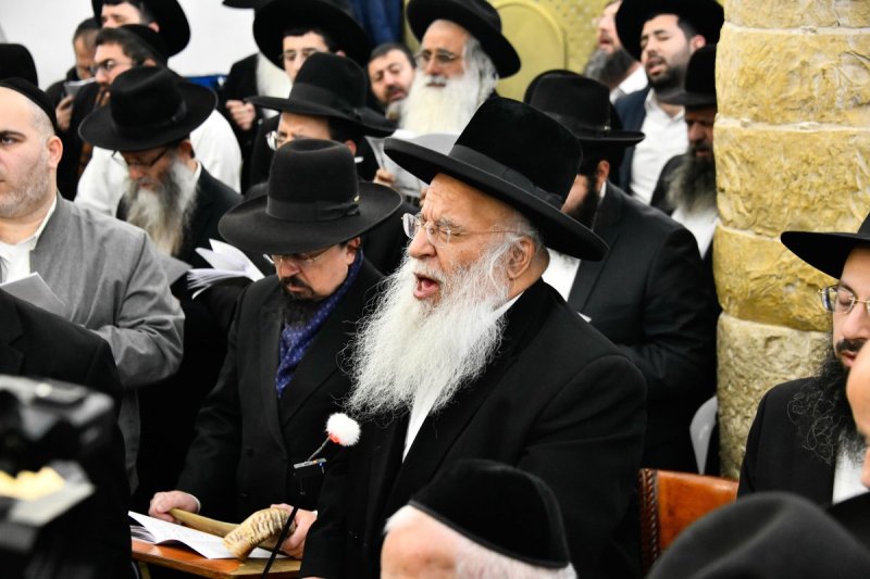 שוקי לרר
