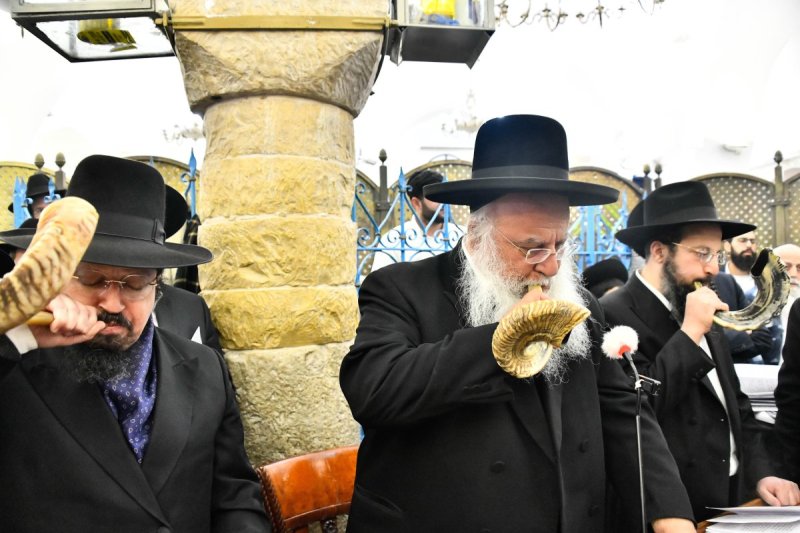 שוקי לרר