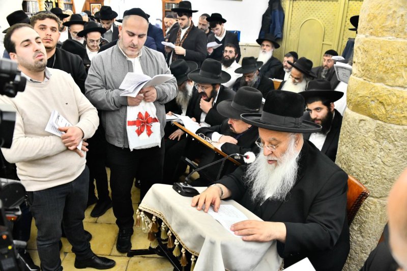 שוקי לרר