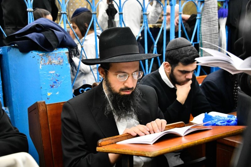 שוקי לרר
