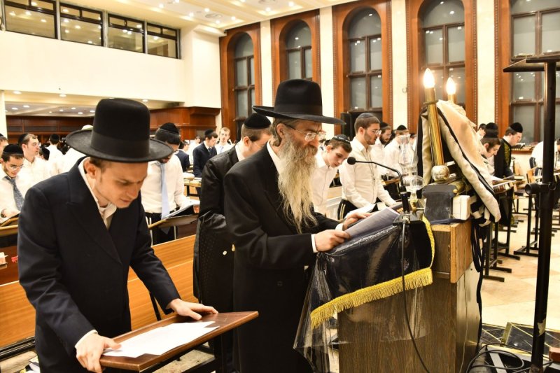 שוקי לרר