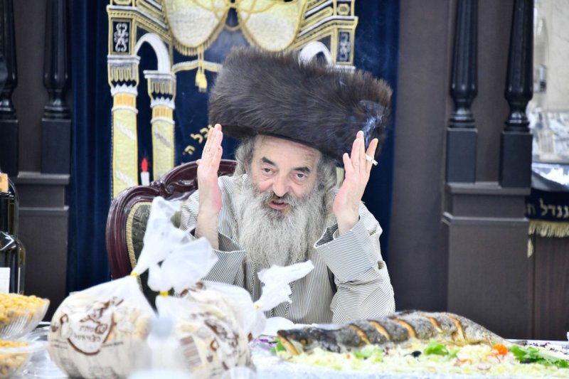 שוקי לרר