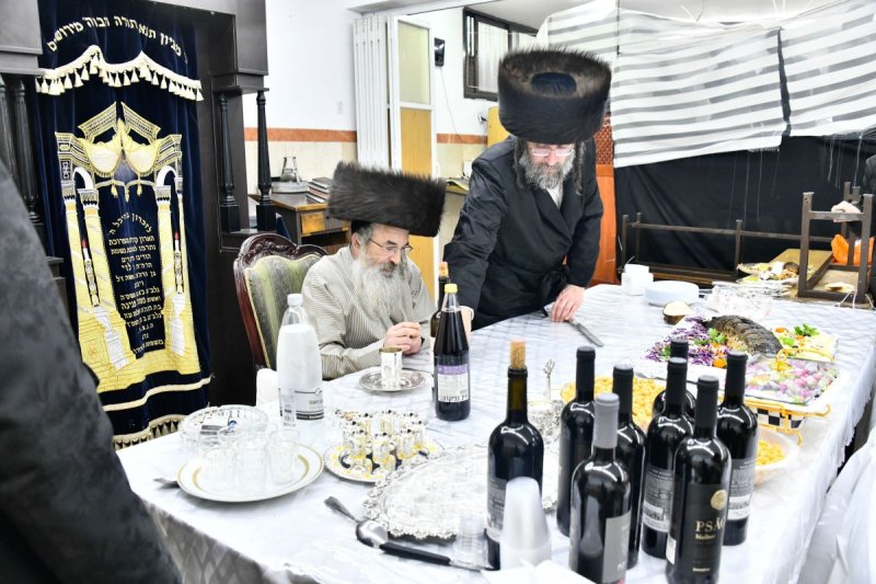 שוקי לרר