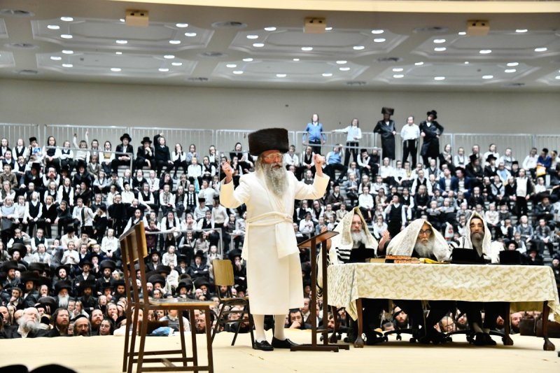 שוקי לרר