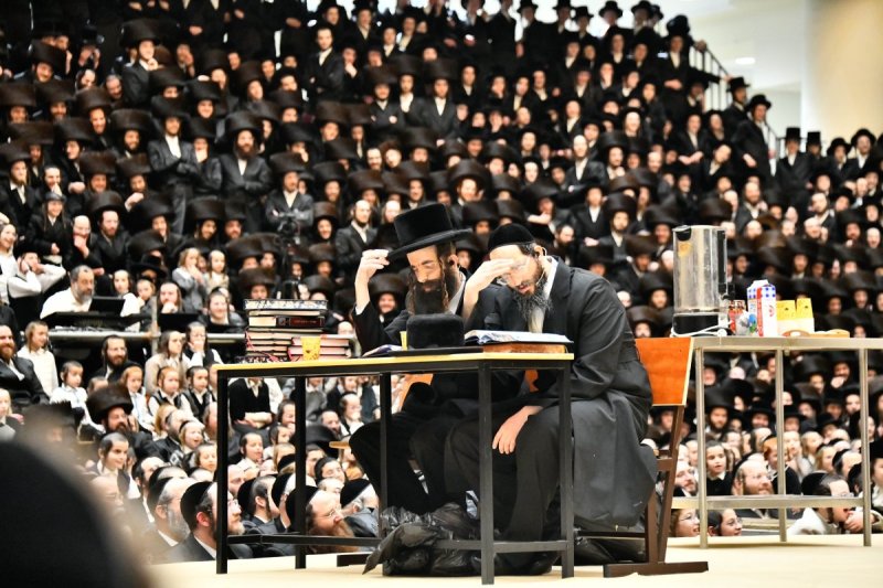 שוקי לרר