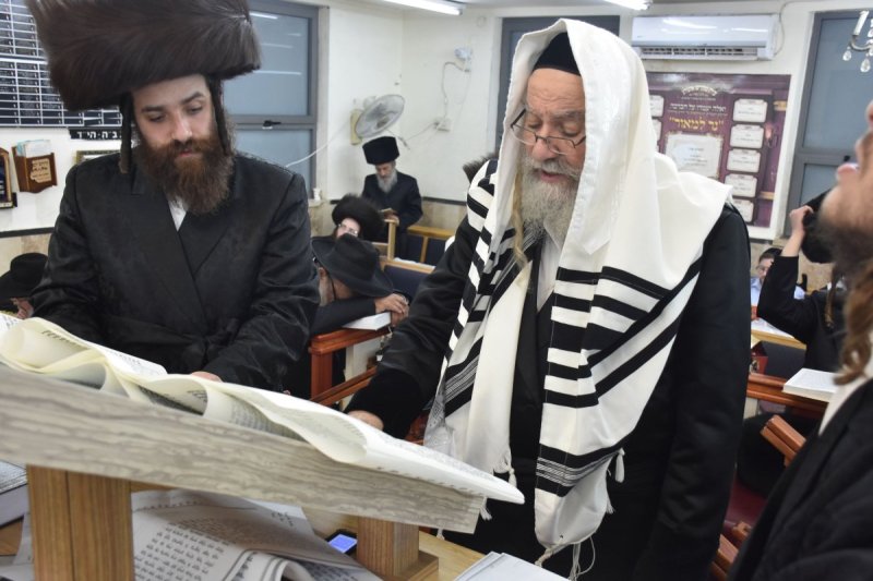 יהודה פרקוביץ