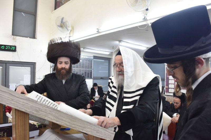 יהודה פרקוביץ