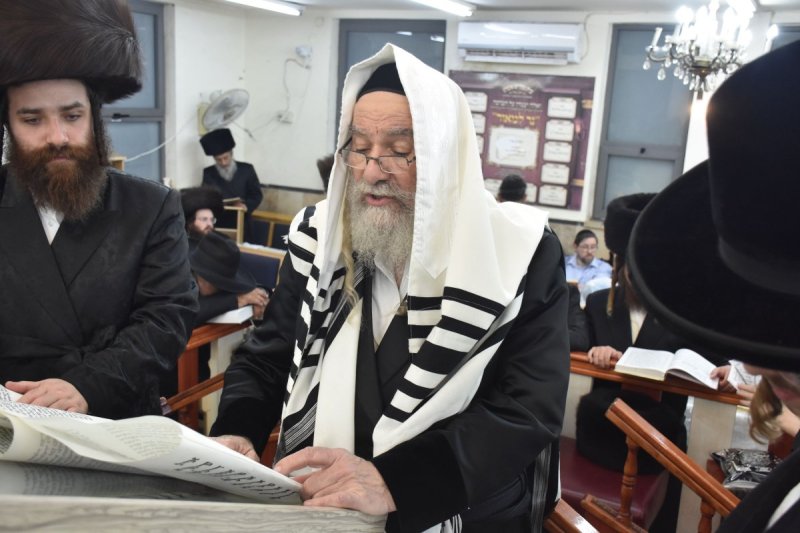 יהודה פרקוביץ