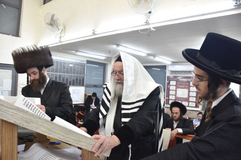 יהודה פרקוביץ