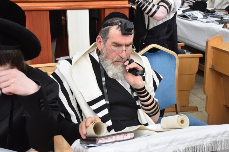 יהודה פרקוביץ