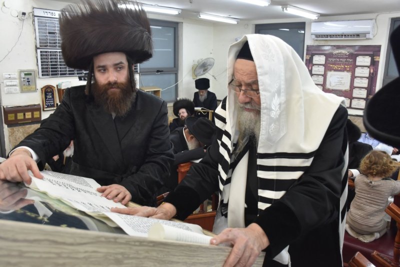 יהודה פרקוביץ