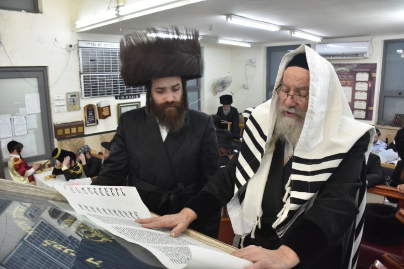 יהודה פרקוביץ
