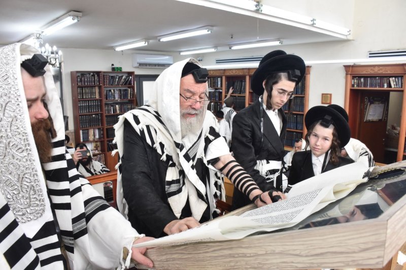 יהודה פרקוביץ