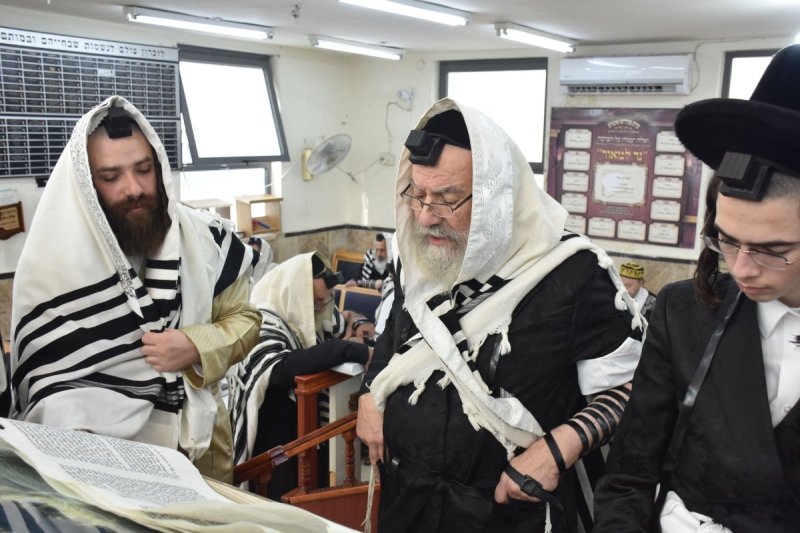 יהודה פרקוביץ