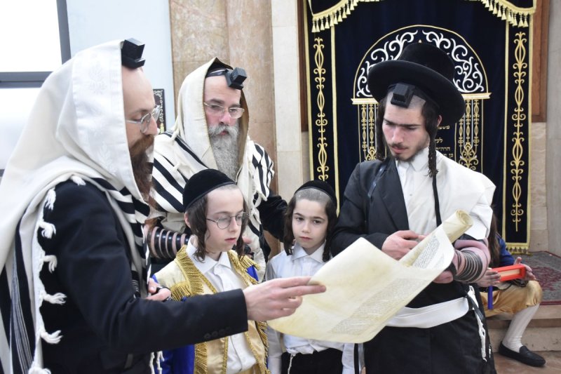 יהודה פרקוביץ