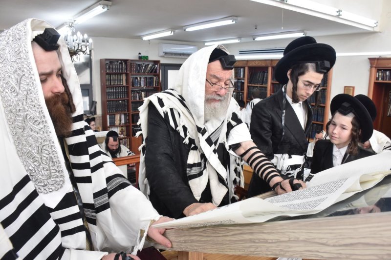 יהודה פרקוביץ