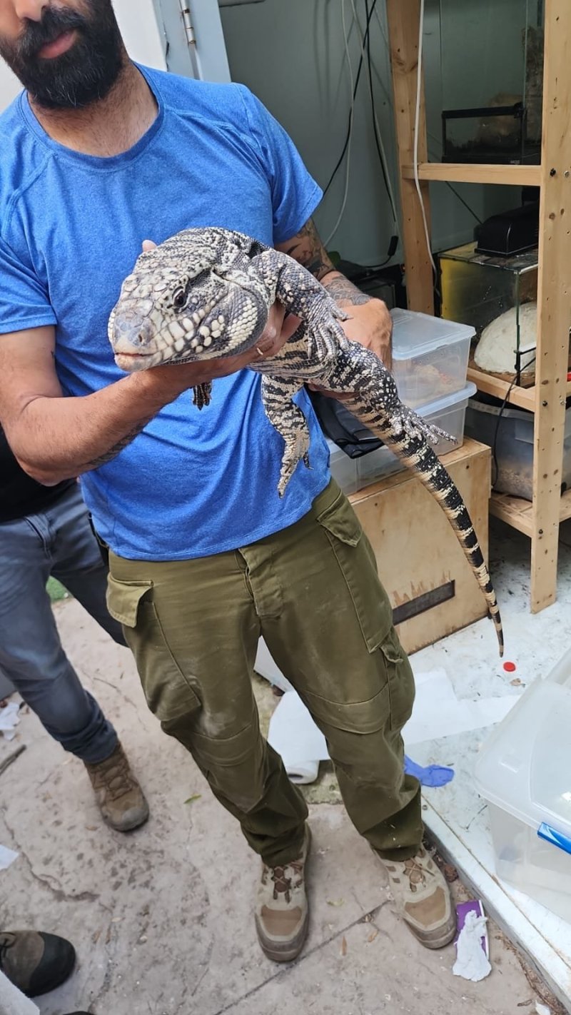 רשות הטבע והגנים