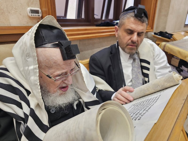שוקי לרר