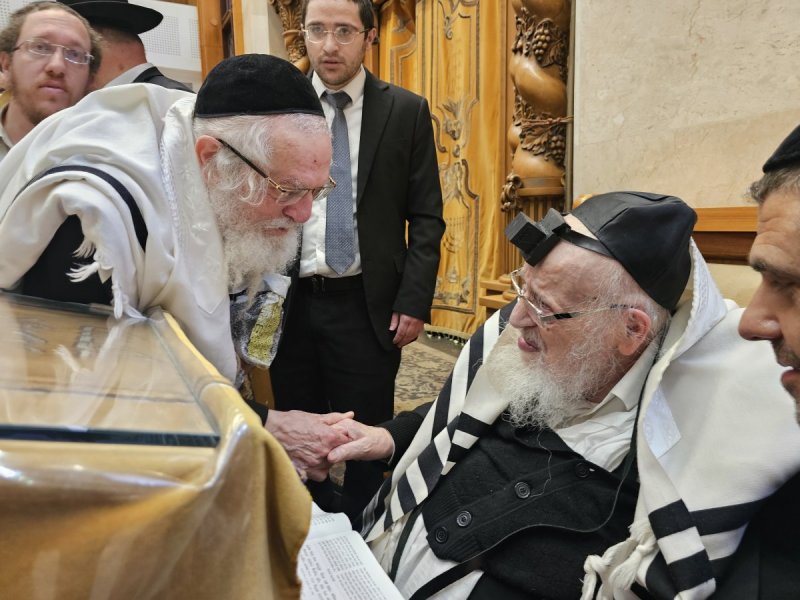 שוקי לרר