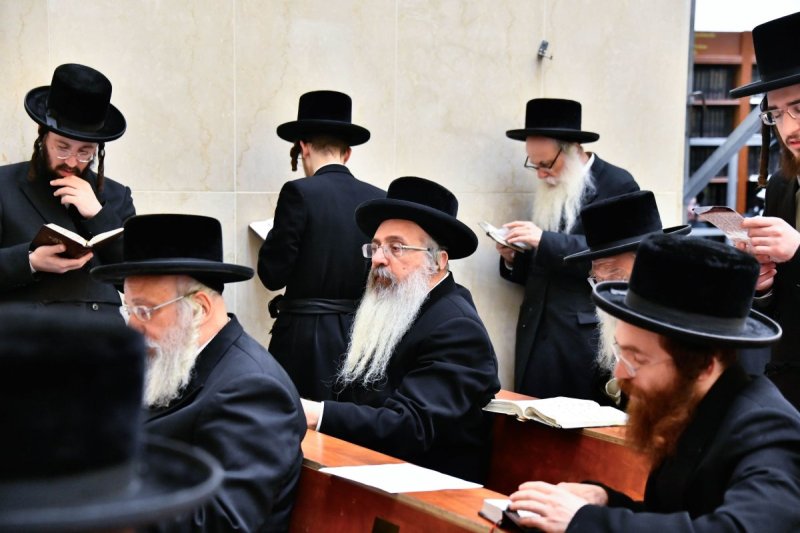 שוקי לרר