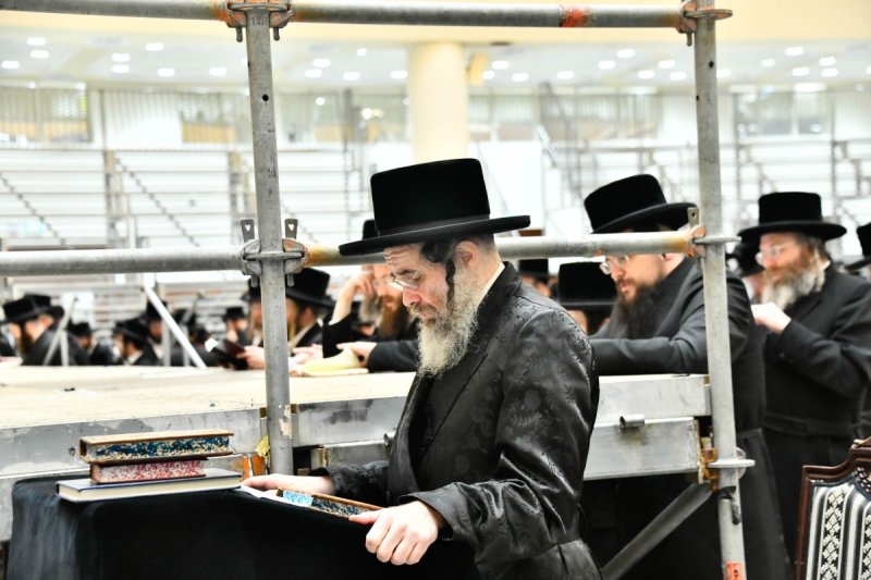 שוקי לרר