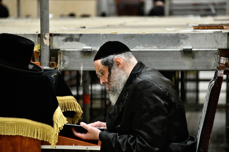 שוקי לרר