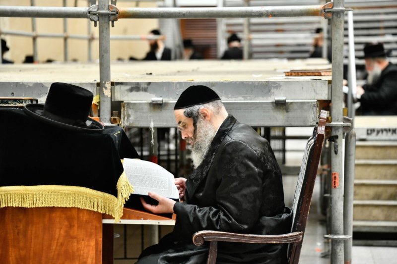 שוקי לרר