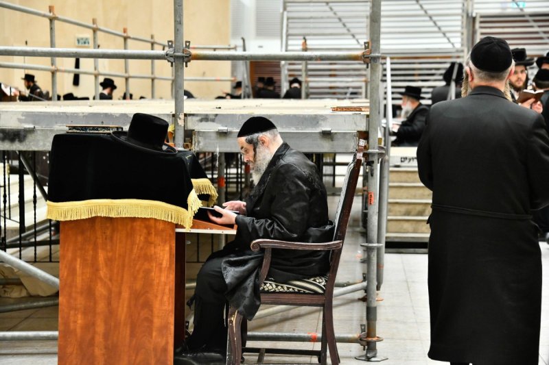 שוקי לרר