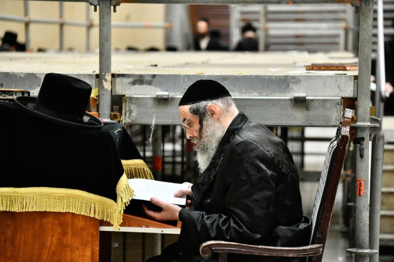 שוקי לרר