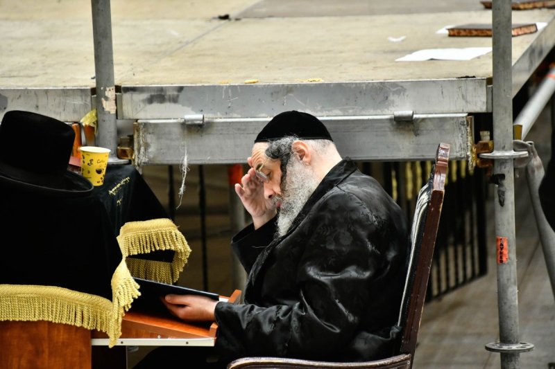 שוקי לרר