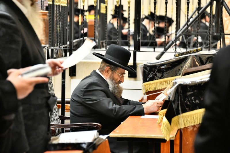 שוקי לרר