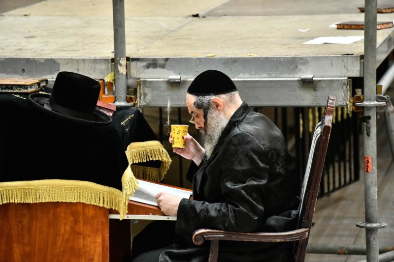 שוקי לרר