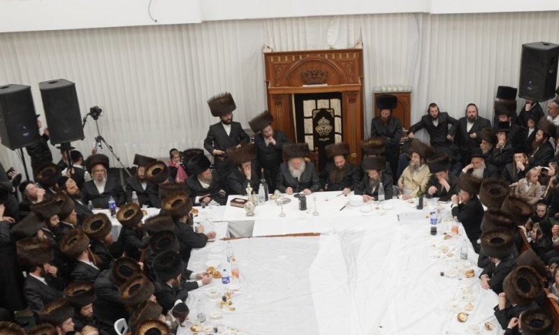 תיעוד מסכם: שמחת פורים בחצר קאמארנא