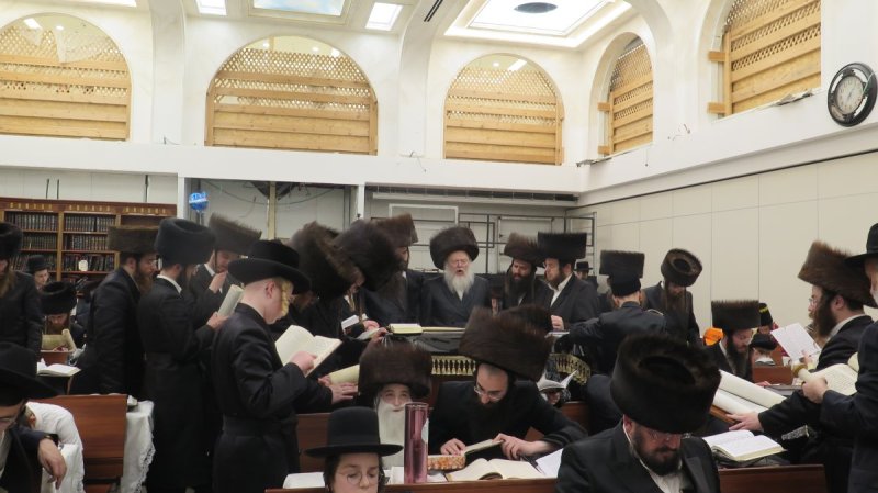 באדיבות המצלם