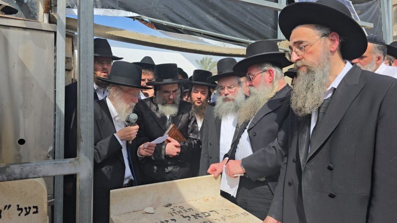 שוקי לרר