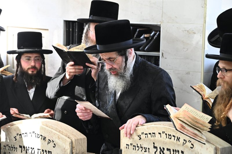 שוקי לרר