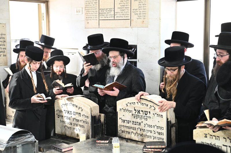 שוקי לרר
