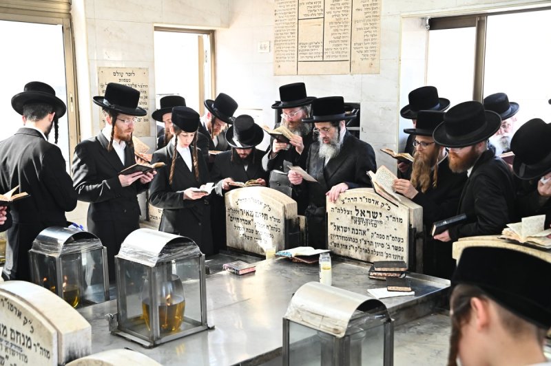 שוקי לרר