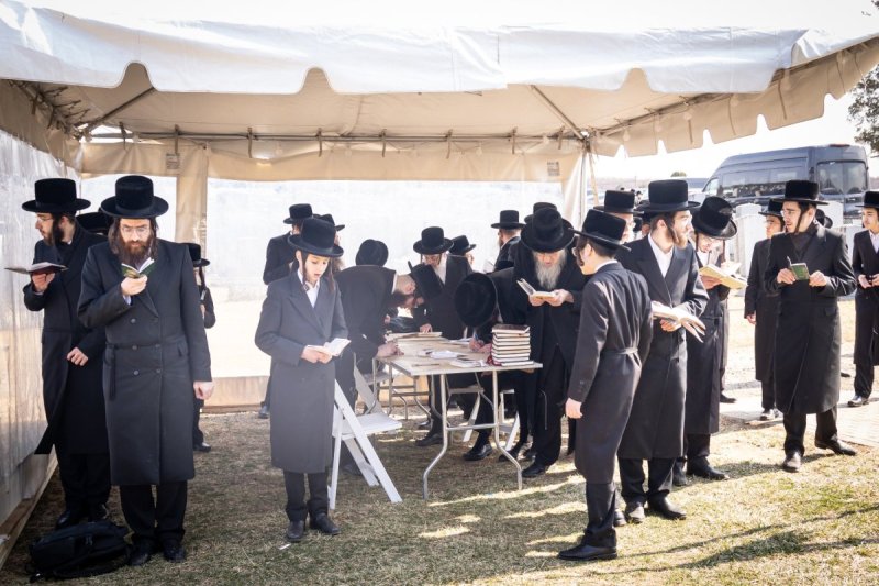 האחים לענטשעווסקי