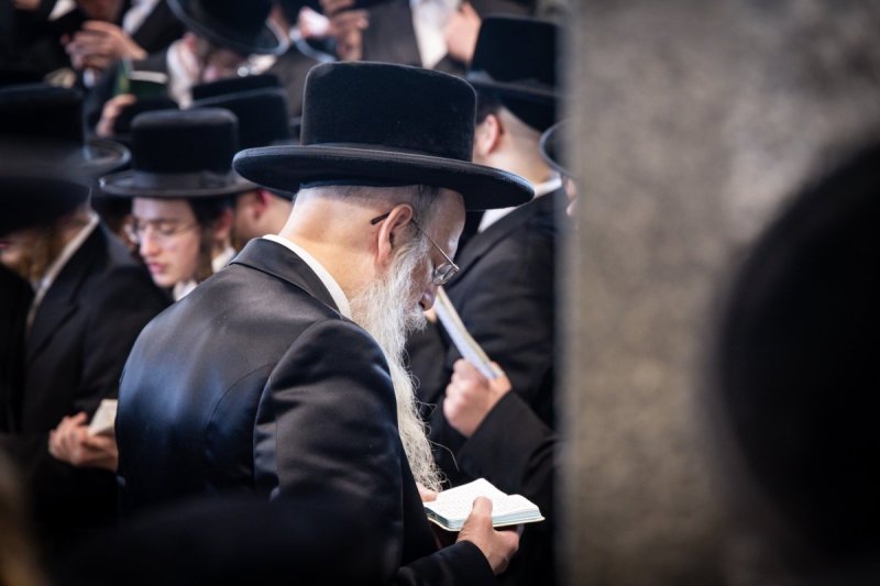 האחים לענטשעווסקי