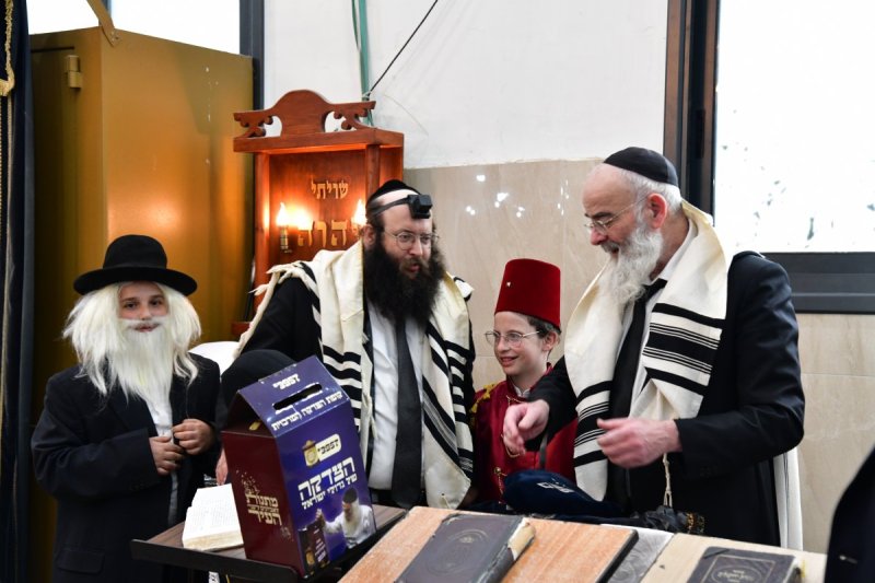 יוסי לוי 