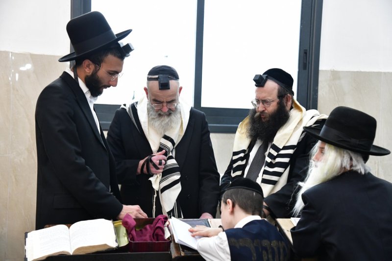 יוסי לוי 