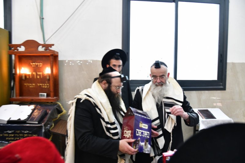 יוסי לוי 