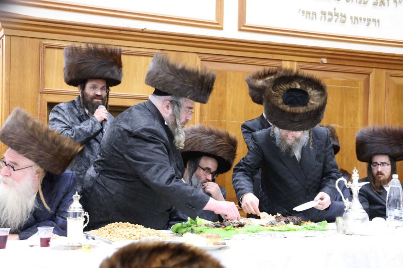 שמואל דריי