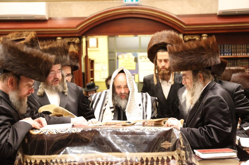 שלומי טריכטר